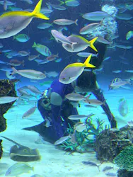 サンシャイン水族館に投稿された画像（2026/3/23）