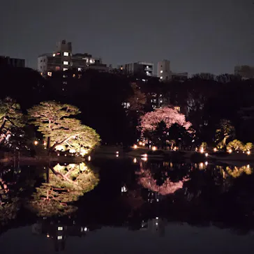 六義園に投稿された画像（2026/3/23）