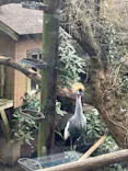 伊豆シャボテン動物公園に投稿された画像（2026/3/23）