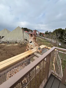 伊豆シャボテン動物公園に投稿された画像（2026/3/23）