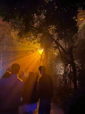 京都府立植物園　LIGHT CYCLES KYOTOに投稿された画像（2026/3/23）