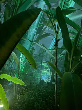 京都府立植物園　LIGHT CYCLES KYOTOに投稿された画像（2026/3/23）