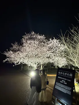 京都府立植物園　LIGHT CYCLES KYOTOに投稿された画像（2026/3/23）
