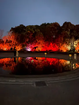 京都府立植物園　LIGHT CYCLES KYOTOに投稿された画像（2026/3/23）