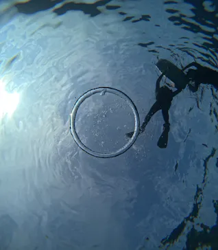 青の洞窟専門店　沖縄ダイビングショップ和に投稿された画像（2026/3/23）