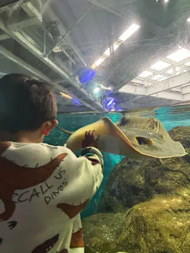 新江ノ島水族館に投稿された画像（2026/3/23）