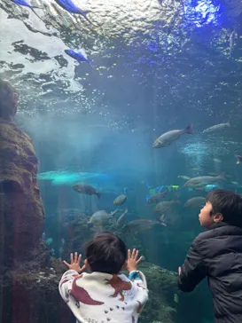 新江ノ島水族館に投稿された画像（2026/3/23）