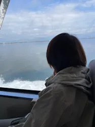 琵琶湖汽船に投稿された画像（2026/3/23）