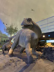 福井県立恐竜博物館に投稿された画像（2026/3/23）