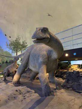 福井県立恐竜博物館に投稿された画像（2026/3/23）