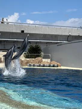 大分マリーンパレス水族館 「うみたまご」に投稿された画像（2026/3/23）