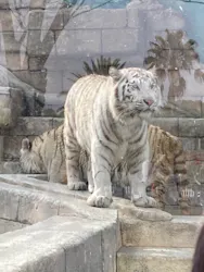 東武動物公園に投稿された画像（2026/3/23）