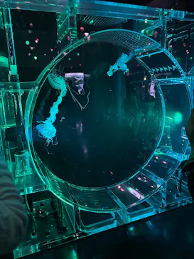 マクセル アクアパーク品川に投稿された画像（2026/3/23）