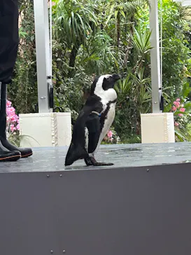 マクセル アクアパーク品川に投稿された画像（2026/3/23）