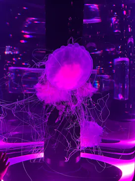 マクセル アクアパーク品川に投稿された画像（2026/3/23）