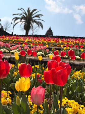 レオマリゾートに投稿された画像（2026/3/23）