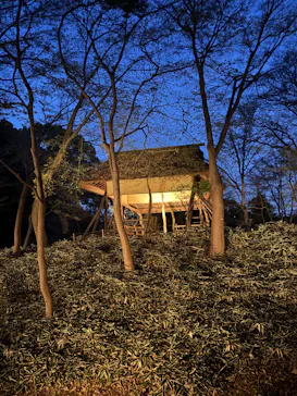 六義園に投稿された画像（2026/3/23）