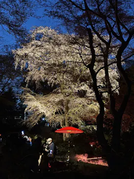 六義園に投稿された画像（2026/3/23）