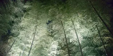 六義園に投稿された画像（2026/3/23）