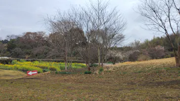 空と大地の丘森本農園に投稿された画像（2026/3/23）