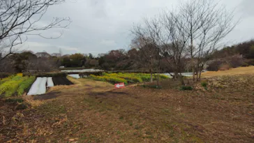 空と大地の丘森本農園に投稿された画像（2026/3/23）