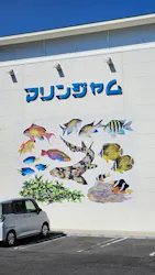 海陽町海洋自然博物館マリンジャムに投稿された画像（2026/3/23）
