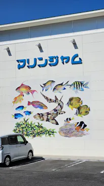 海陽町海洋自然博物館マリンジャムに投稿された画像（2026/3/23）