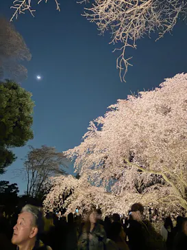 六義園に投稿された画像（2026/3/23）