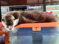 ゼロ距離水族館 伊勢シーパラダイスに投稿された画像（2026/3/23）