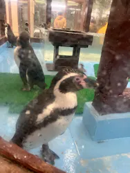 ゼロ距離水族館 伊勢シーパラダイスに投稿された画像（2026/3/23）