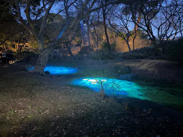 六義園に投稿された画像（2026/3/23）