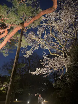 六義園に投稿された画像（2026/3/23）