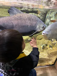 サンシャイン水族館に投稿された画像（2026/3/23）