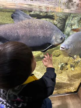 サンシャイン水族館に投稿された画像（2026/3/23）
