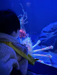 サンシャイン水族館に投稿された画像（2026/3/23）