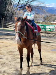 阿蘇カドリー・ドミニオンに投稿された画像（2026/3/23）