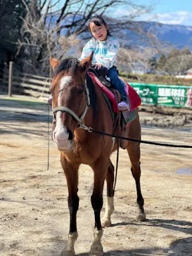 阿蘇カドリー・ドミニオンに投稿された画像（2026/3/23）