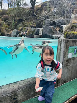 阿蘇カドリー・ドミニオンに投稿された画像（2026/3/23）