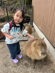 阿蘇カドリー・ドミニオンに投稿された画像（2026/3/23）