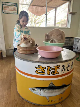 阿蘇カドリー・ドミニオンに投稿された画像（2026/3/23）