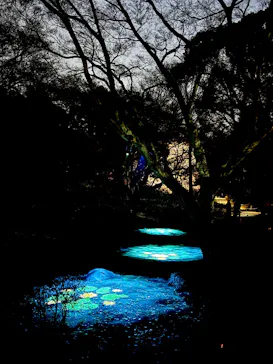 六義園に投稿された画像（2026/3/23）