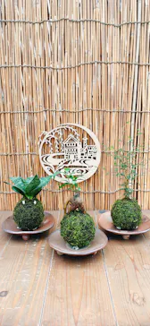 倉敷グリーンファームに投稿された画像（2026/3/23）