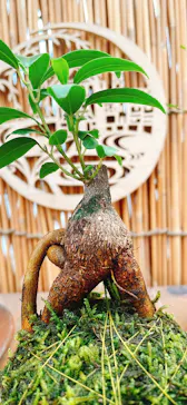 倉敷グリーンファームに投稿された画像（2026/3/23）