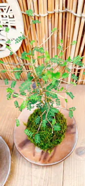 倉敷グリーンファームに投稿された画像（2026/3/23）