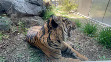 名古屋市東山動植物園に投稿された画像（2026/3/23）