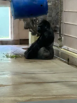 名古屋市東山動植物園に投稿された画像（2026/3/23）