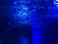 サンシャイン水族館に投稿された画像（2026/3/23）