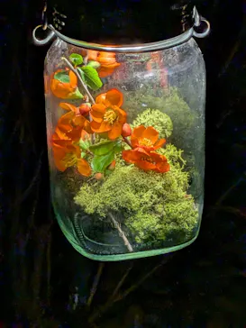 六義園に投稿された画像（2026/3/23）