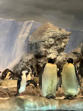 名古屋港水族館に投稿された画像（2026/3/23）