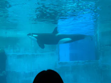 名古屋港水族館に投稿された画像（2026/3/23）